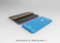 Ảnh dựng iPhone 6C màn hình 4,5 inch, nhiều màu đẹp