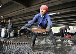 Bán mạng 'vớt lộc trời'