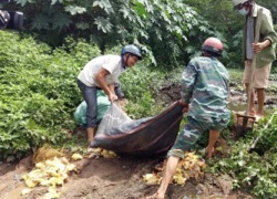 Bắt giữ xe ô tô chở 2 nghìn gia cầm Trung Quốc nhập lậu