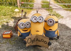 Bè lũ &#8220;Minions&#8221; vàng chóe xâm lăng Bắc Mỹ