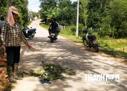 Bị đâm chết vì ngăn mẹ của nghi phạm về nhà ăn chè