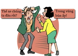 Bỗng dưng vợ rành về xe