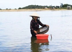 Cải thiện cuộc sống làng chài