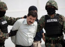 Con trai trùm ma túy El Chapo từng "bóng gió" về cuộc vượt ngục trên Twitter