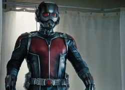 Đạo diễn 'Ant-Man' lo ngại về tạo hình trong 'Civil War'