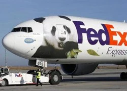 FedEx bỏ ra gần 20 tỉ USD tậu 100 chiếc Boeing 767