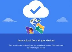 Google Photos tự động sao lưu trái phép