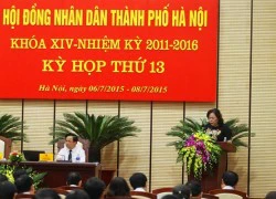 HĐND Hà Nội làm rõ trách nhiệm vụ thay cây xanh