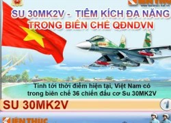 Infographic: Chiến đấu cơ hiện đại nhất Việt Nam