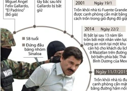 [Infographics] Hành trình trở thành ông trùm ma túy của "El Chapo"