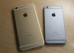 iPhone 6 giảm giá nhẹ, hàng cũ tràn về thị trường