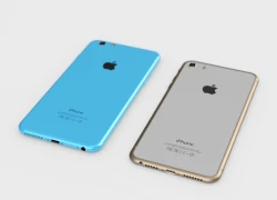 iPhone 6C giá mềm có thể dùng vỏ kim loại