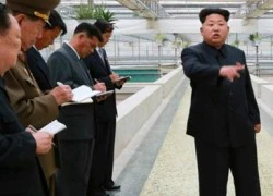 Kim Jong-un xử tử quản lý trại rùa vì 'kém hiệu quả'