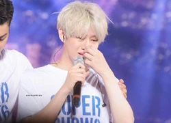 Kpop fan nghi ngờ Super Junior sắp tan rã