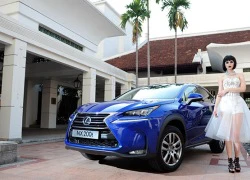 Lexus NX200t - Có mặt để chinh phục