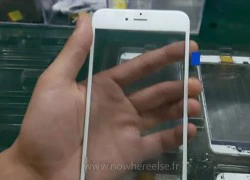 Lộ ảnh iPhone 6S được sản xuất hàng loạt