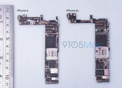 Lộ diện các linh kiện bên trong iPhone 7