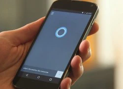 Lộ diện hình ảnh Cortana chạy trên Android