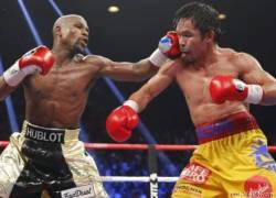 Mayweather bị tước đai vô địch WBO vì không đóng tiền!