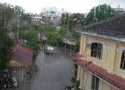 'Mưa vàng' trên cố đô Huế sau 2 tháng nắng 'cháy da'