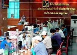 Nghi vấn cán bộ Ngân hàng gian dối, Agribank tuyên bố sẽ điều tra