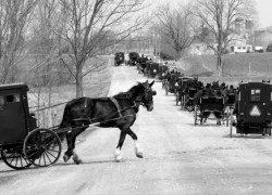 Người Amish - cộng đồng xa lánh thế giới hiện đại ở Mỹ