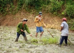 "Người rừng" Hồ Văn Lang cố gắng học chữ để... tìm vợ