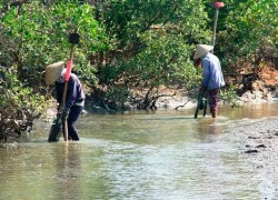 Những phận đời bên sông Trường Giang