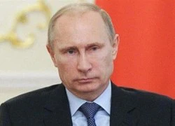 Ông Putin lệnh tiêu hủy các sản phẩm nhập từ các nước trừng phạt Nga