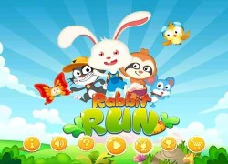 Rabbit Run - Hành trình đi học gian nan của thỏ trắng