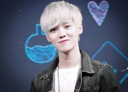 Rộ tin cựu thành viên Luhan của EXO làm sinh viên mang bầu