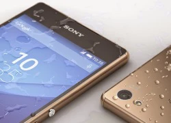 Sony sắp ra hai smartphone Xperia cao cấp, đắt tiền hơn Z3+