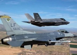 Tranh cãi vụ F-35 'thua máy bay bà già'