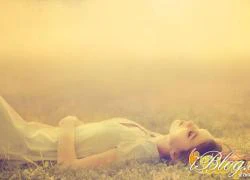 Trong mơ xin đừng gặp lại