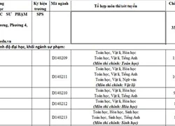 Trường ĐH Sư phạm TPHCM giảm chỉ tiêu các ngành sư phạm