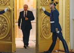 Tỷ lệ ủng hộ Tổng thống Nga Putin cao kỷ lục