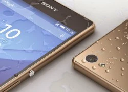 Xperia Z5 có màn hình 5,5 inch, cảm biến vân tay, RAM 3 GB