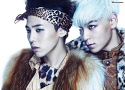 18 hé lộ thú vị về G-Dragon (Big Bang)