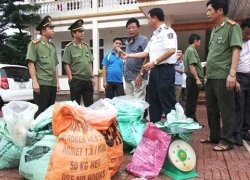 300 kg thuốc nổ giấu trong xế hộp