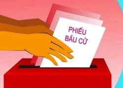 4 cán bộ bị tạm đình chỉ công tác vì 'vận động bầu cử trái quy định'