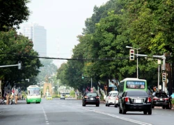 74 cây ở trung tâm Sài Gòn có thể bị chặt để xây metro