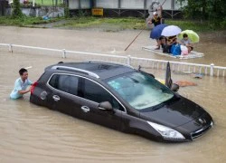 Bão Soudelor gây thiệt hại lớn ở Trung Quốc