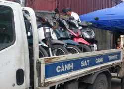 Bắt giữ gần 40 người tham gia sới đá gà ăn tiền