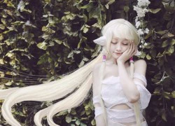 Bất ngờ với cosplay Chobits Việt táo bạo của Chibi Bunny