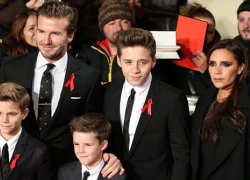 Beckham sợ con không vượt qua được điểm sàn