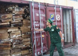 Cận cảnh ba container chứa hơn 2,2 tấn ngà voi ở Đà Nẵng