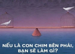 Câu chuyện về hai con chim và bài học tình nghĩa vợ chồng...