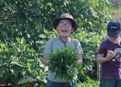 Dạy con cách tiêu tiền