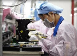 Foxconn đang sản xuất iPhone 6C?