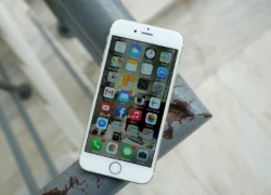 Giá iPhone 6 tăng nhẹ dù bản mới sắp ra mắt